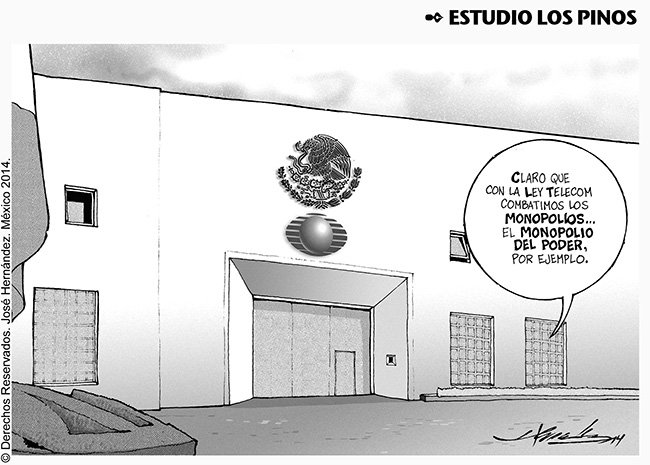 Estudio los pinos.